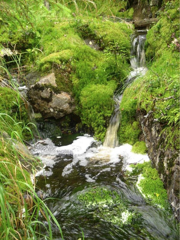 Ein wasserführender Bachlauf, der sich im Relief des Untergrunds, der Fauna und Flora sowie mit seinem lieblich plätschernden Gesamtklang zu einer harmonischen Einheit verbindet. Somit ist er ein Beispiel für Harmonie in und um uns und der stete Fluss wird gespeist vom Quell des Lebens. - Von der Quelle bis zur Mündung kostet es dem Fluss niemals Überwindung, er fließt ganz einfach unbeschwert, was ist daran verkehrt? Der Fluss ist wie ein Lebensnerv und wer versucht ihn zu durchtrennen, wird eines Tages um sein Leben rennen.